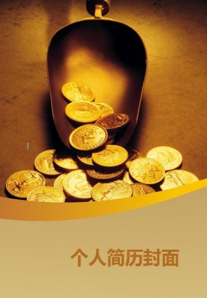精美的金融管理简历封面