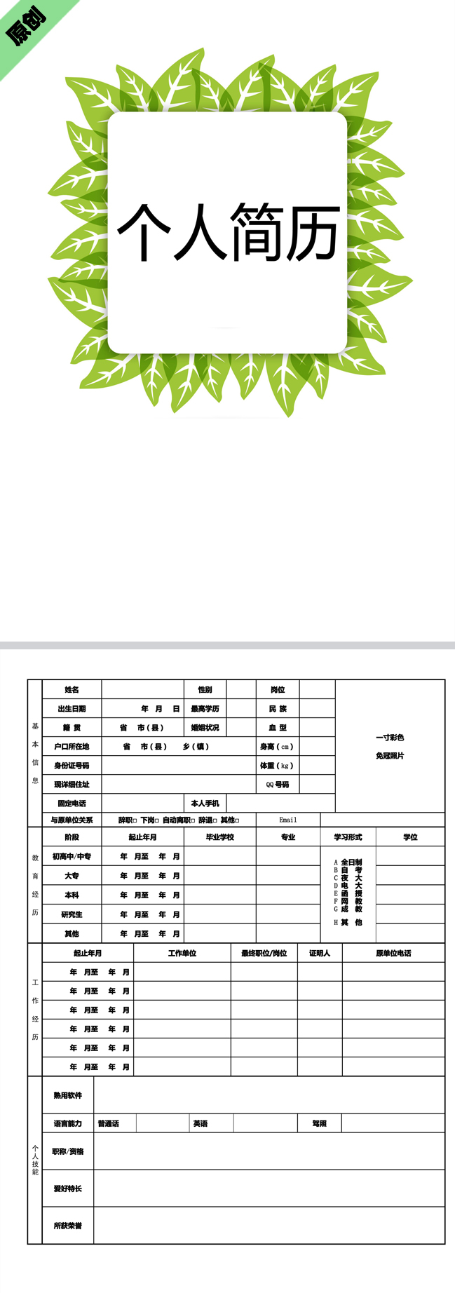 绿叶边框免费个人简历模板