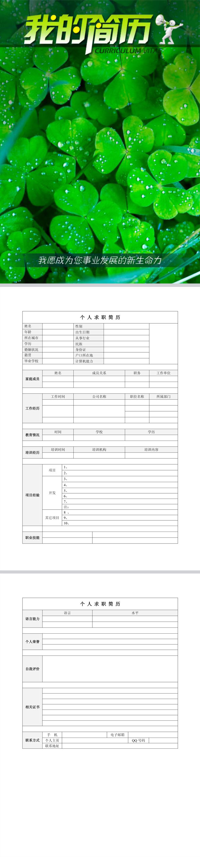 四叶草免费个人简历模板
