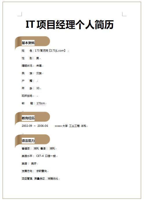 别具一格的IT项目经理免费个人简历模板
