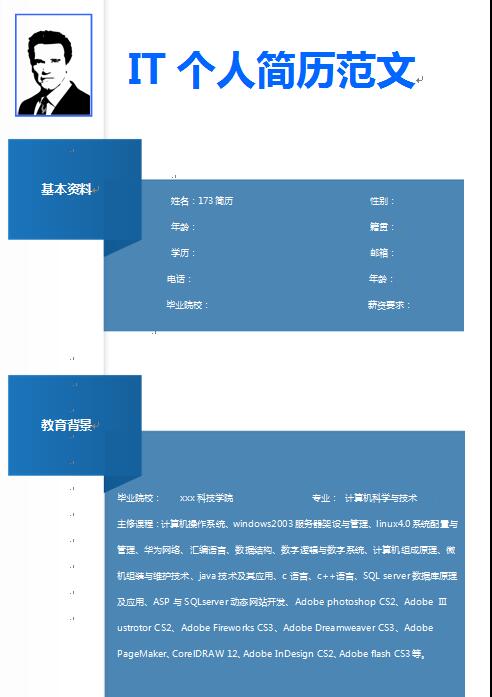 别具一格的IT免费个人简历模板