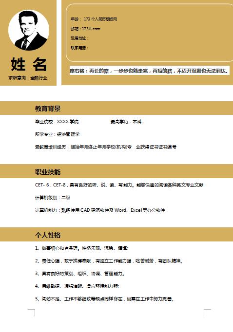 非常漂亮的金融保险行业免费个人简历模板
