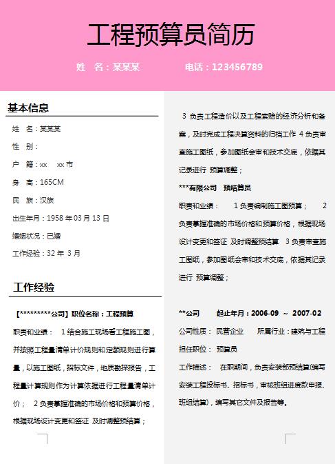 别具一格的工程预算员免费个人简历模板