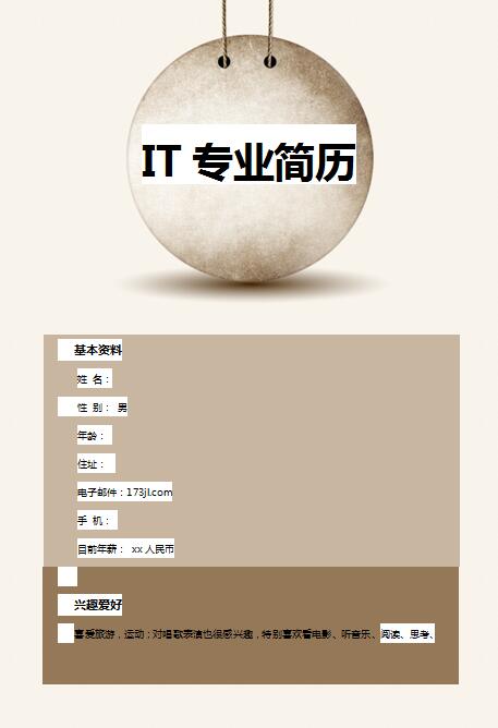 非常有创意的IT行业免费个人简历模板