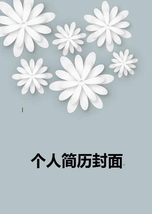 精美的简历封面图片