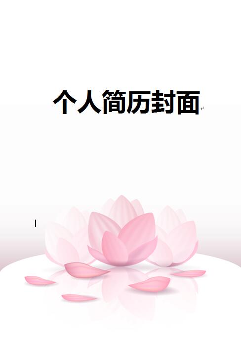 淡雅简历封面