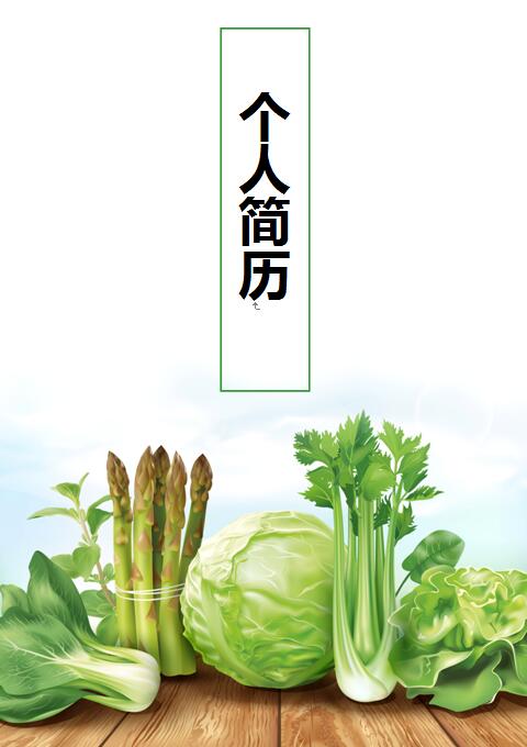 word简历封面模板
