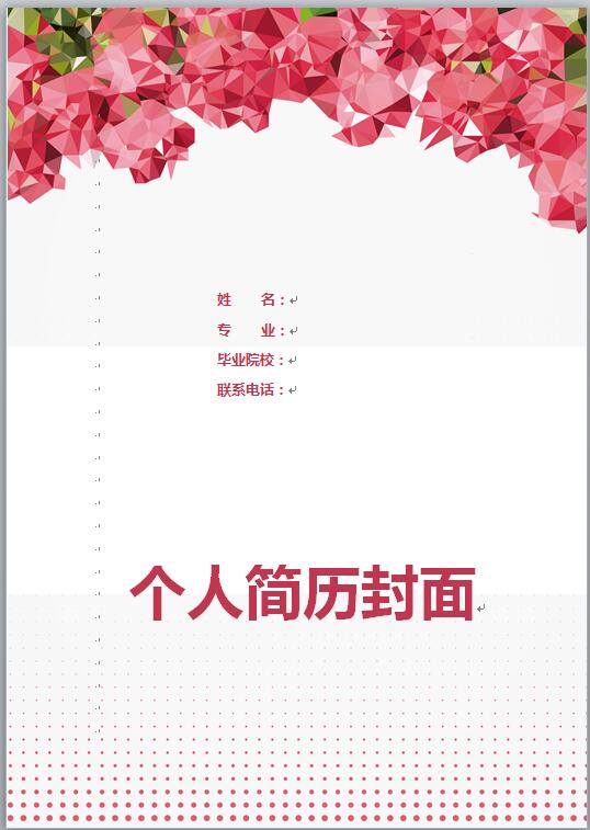 中专生简历模板封面