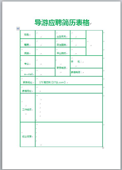 导游应聘简历表格