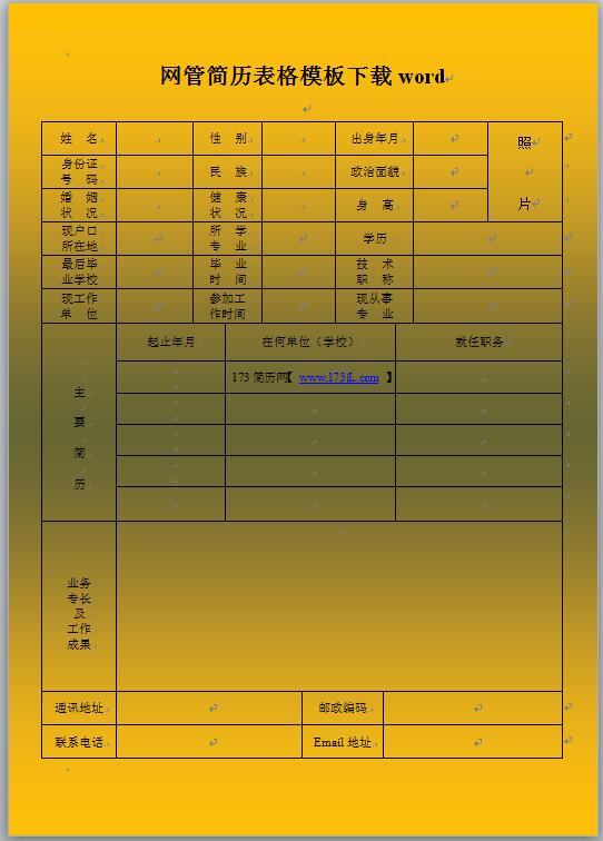 网管简历表格模板word