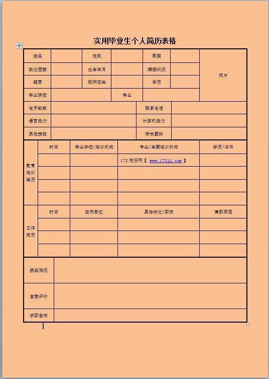 大专生求职简历表格