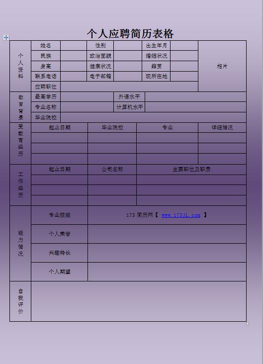 猎头顾问简历表格
