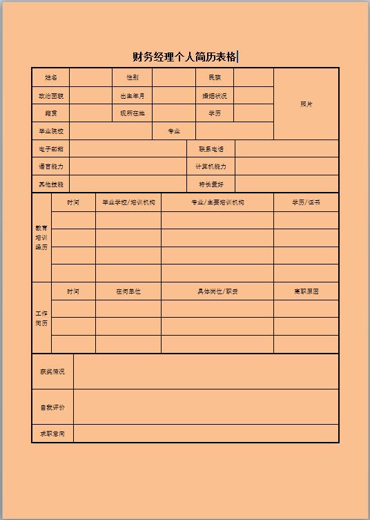 财务经理招聘简历表格