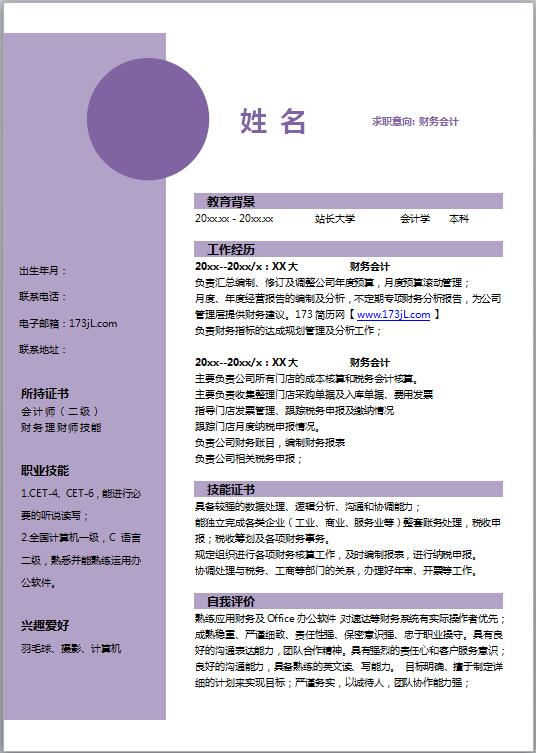 非常漂亮的出纳简历模板word格式