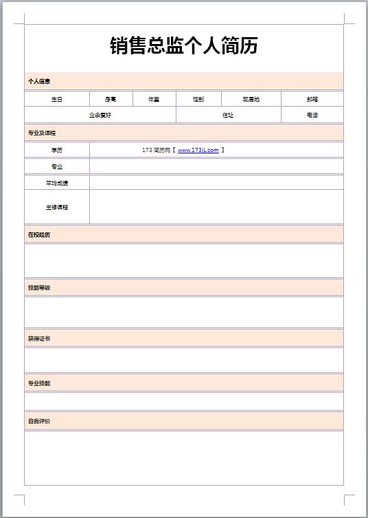 销售总监免费个人简历表格
