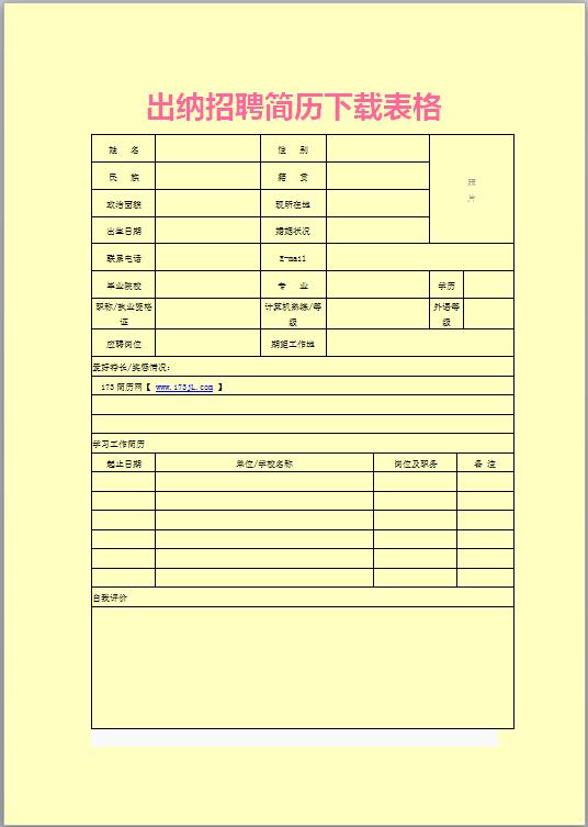 出纳招聘简历表格