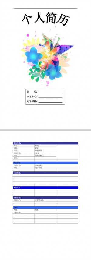 精美的彩色简约简历表