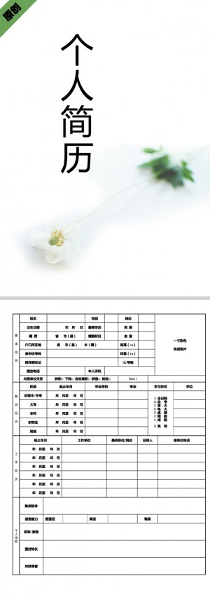 非常漂亮的一朵小花免费个人简历模板