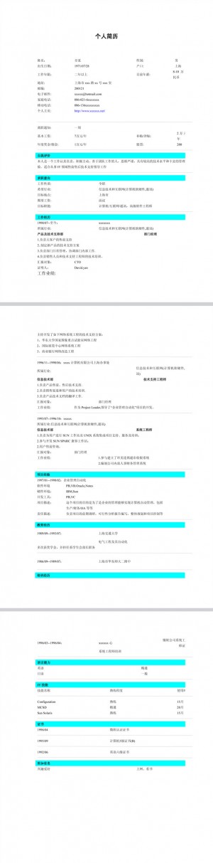 精美的信息技术免费个人简历表格