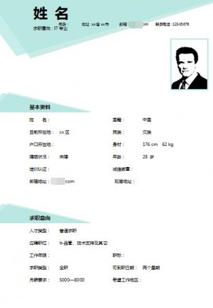 优秀的技术支持工程师简历模板
