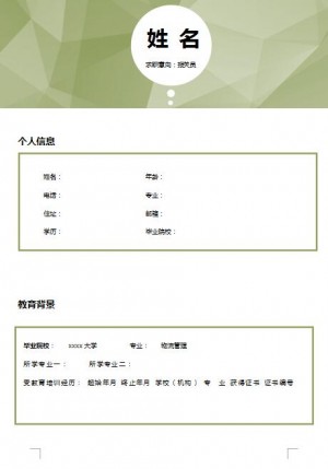 精美的报关员简历模板