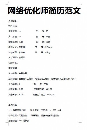 非常漂亮的网络优化师简历模板