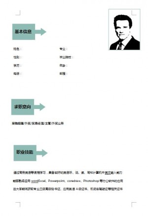 非常棒的采购经理简历模板