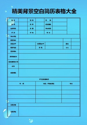 精美绝伦的空白背景简历表格大全