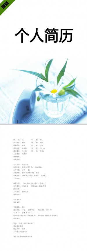 精美的电话销售员简历模板