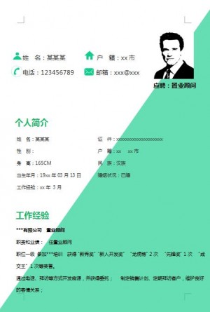 精美的房地产置业顾问简历模板