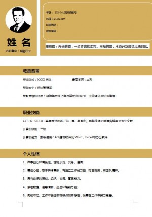 非常漂亮的金融保险行业免费个人简历模板