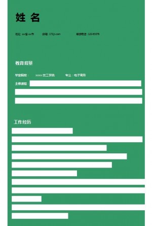 非常漂亮的电子商务求职简历模板