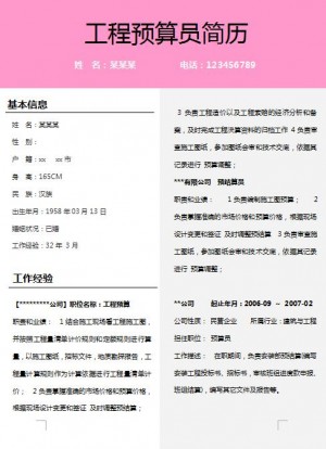 别具一格的工程预算员免费个人简历模板