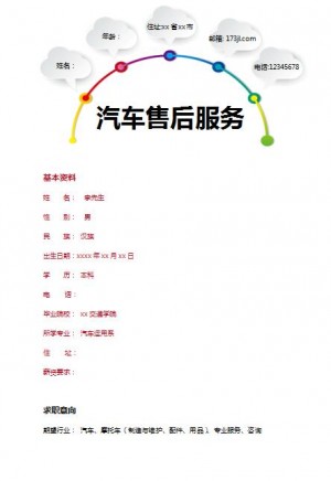 别具一格的汽车售后服务简历模板