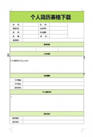 别具一格的免费个人简历表格