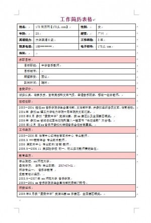 精美的工作简历表格