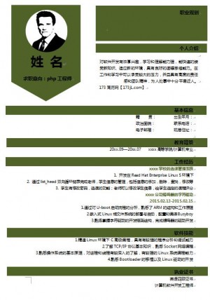 精美绝伦的php个人资料模板