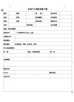 非常棒的标准免费个人简历表格