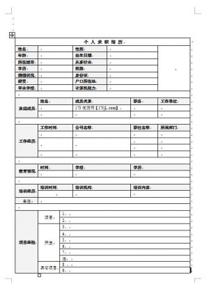 精美的毕业生免费个人简历表格