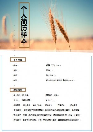 银行、非银行金融机构等个人求职简历样本