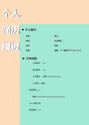 跳槽简历模板