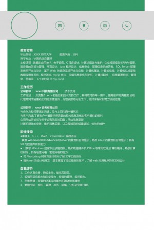 IT专业人士简历模板