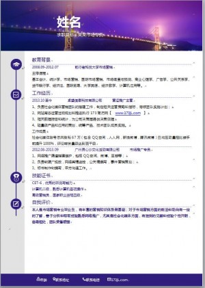 网站运营专业免费个人简历模板
