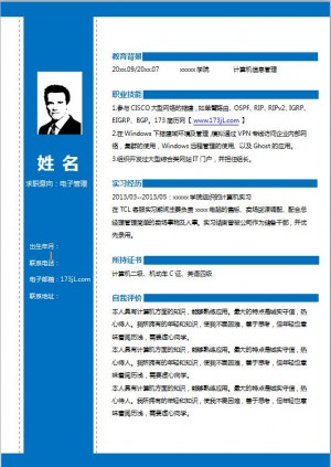 网站编程电子版简历