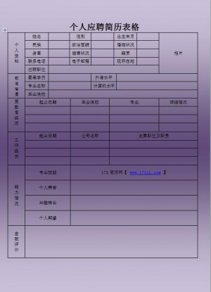 猎头顾问简历表格