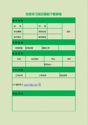 保险金融类简历表格