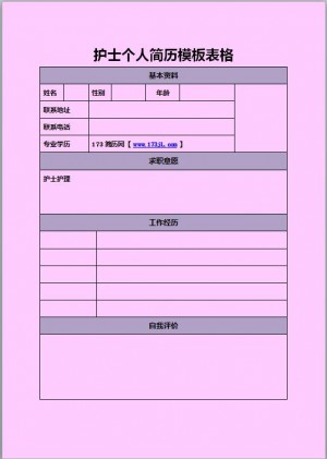精美绝伦的中专简历模板表格