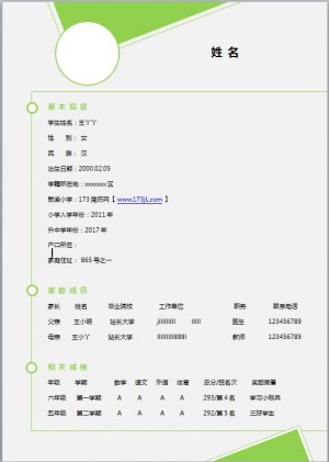 小升初免费个人简历模板