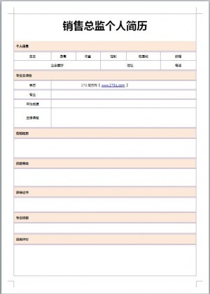 销售总监免费个人简历表格