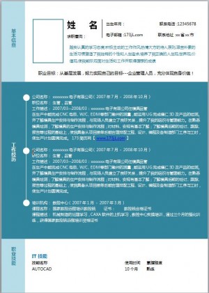 项目工程师简历模板